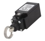 Wyłącznik krańcowy FR576