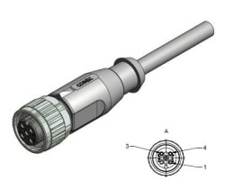 Wtyk żeński prosty M12 3-piny przewód 2m - 43-10000