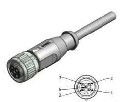 Wtyk żeński prosty M12 5-pin przewód 5m - 43-10042